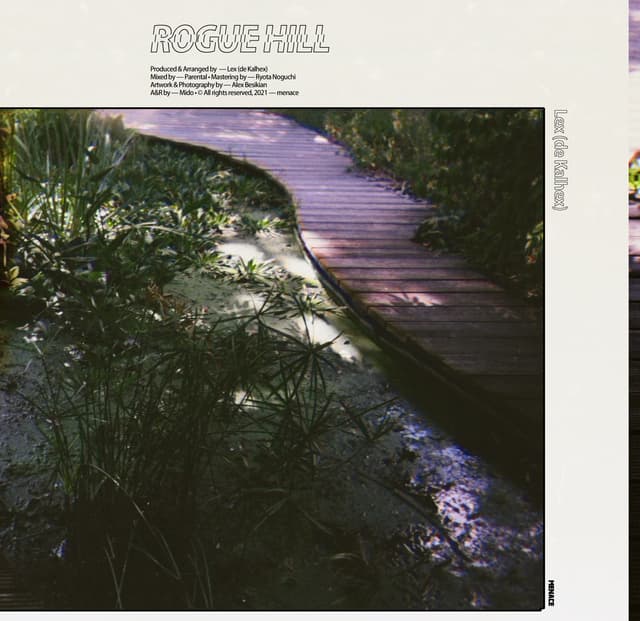Album cover art for Rogue Hill