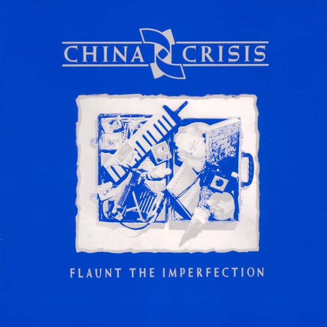 Album cover art for Flaunt the Imperfection