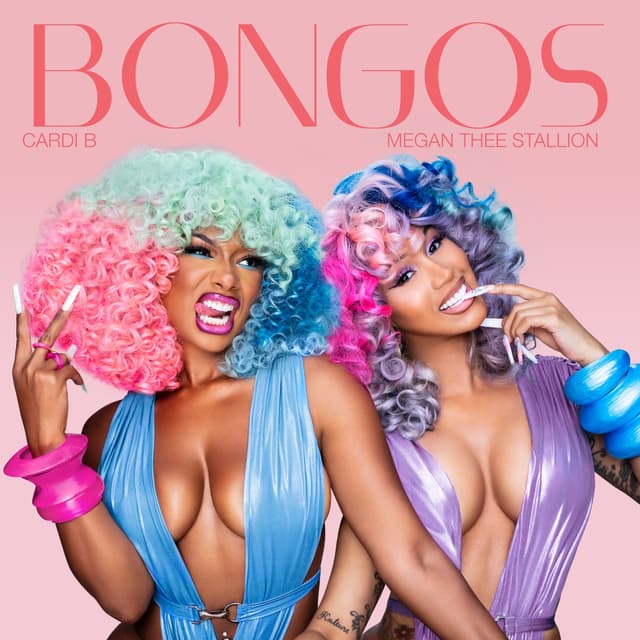 Album cover art for Bongos