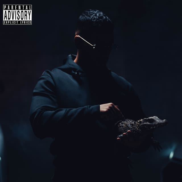 Album cover art for Pas fiable