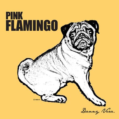 Album cover art for Pink Flamingo