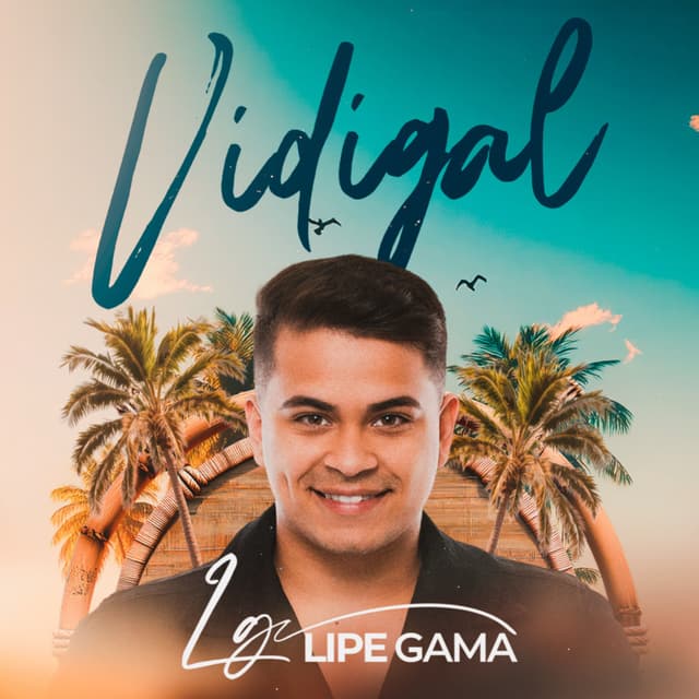 Album cover art for Vidigal