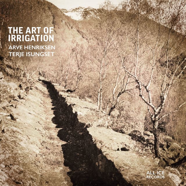 Album cover art for The Art of Irrigation