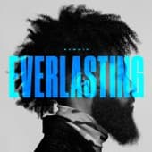 Album cover art for Everlasting