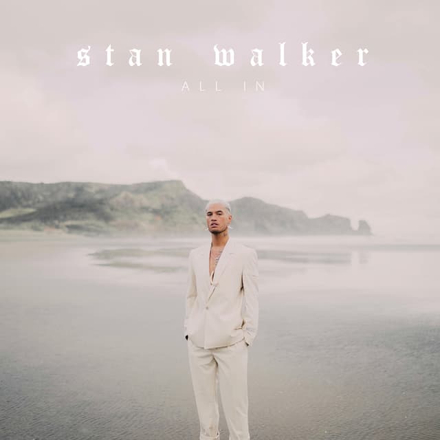 Album cover art for All In