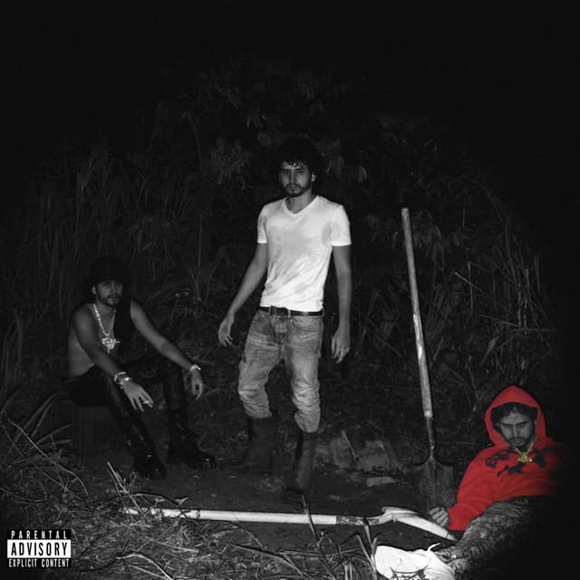 Album cover art for No Vuelve a Suceder