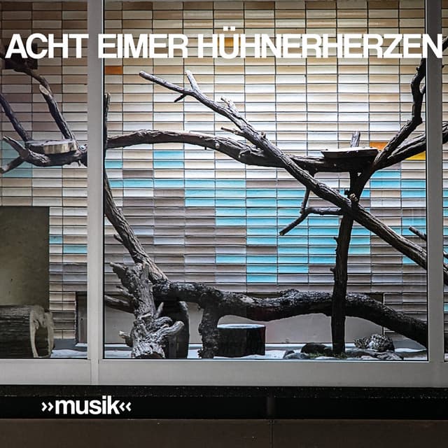 Album cover art for »musik«