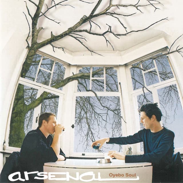 Album cover art for Oyebo Soul