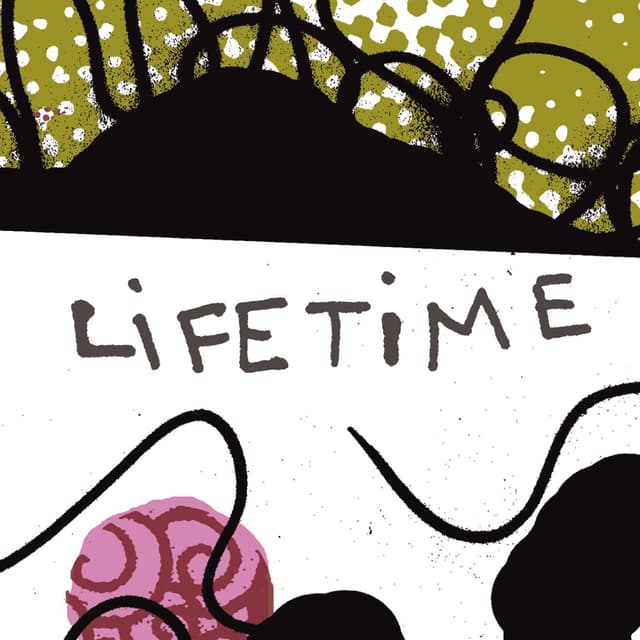 Album cover art for Lifetime