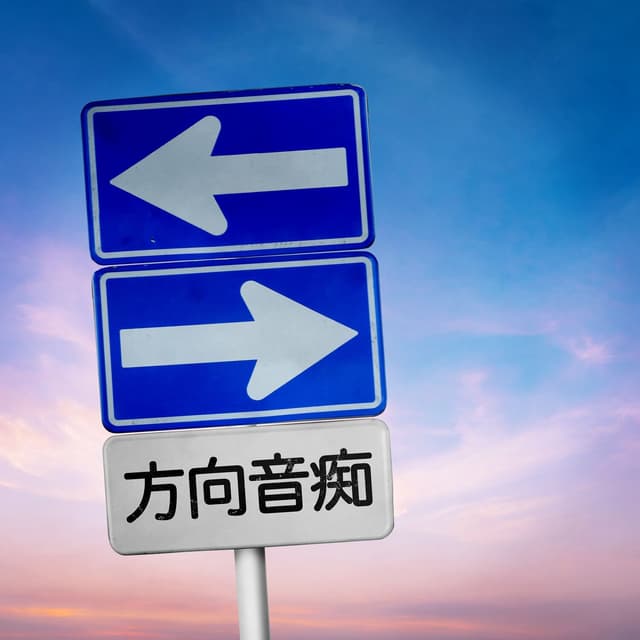 Album cover art for 方向音痴