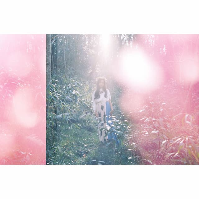 Album cover art for eve