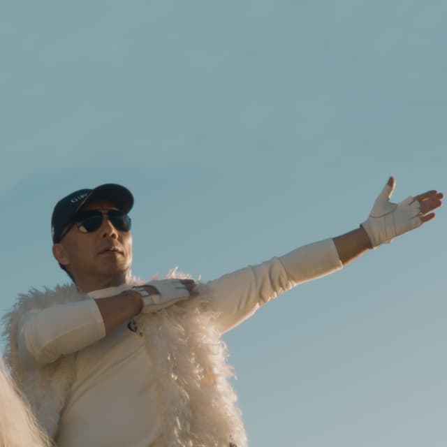 Album cover art for Hero