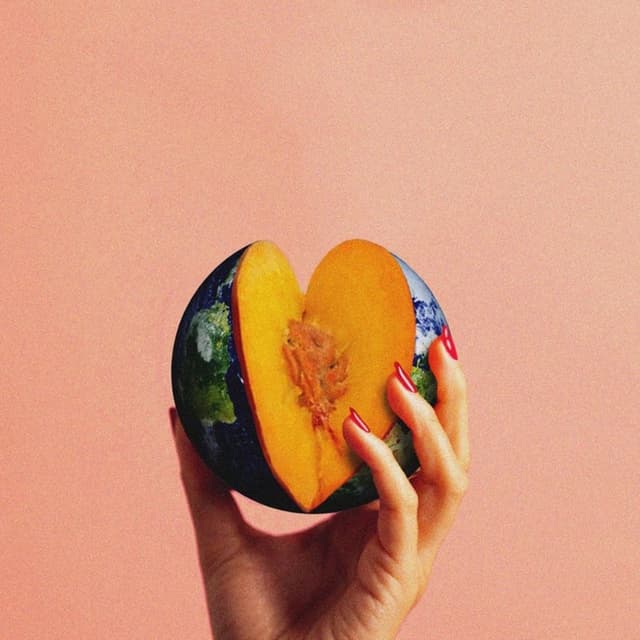 Album cover art for How to Steal the World