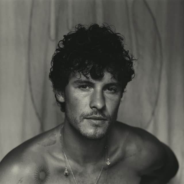 Album cover art for Shawn