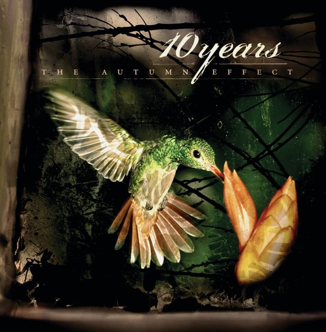 Album cover art for The Autumn Effect