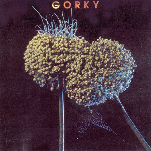 Album cover art for Gorky