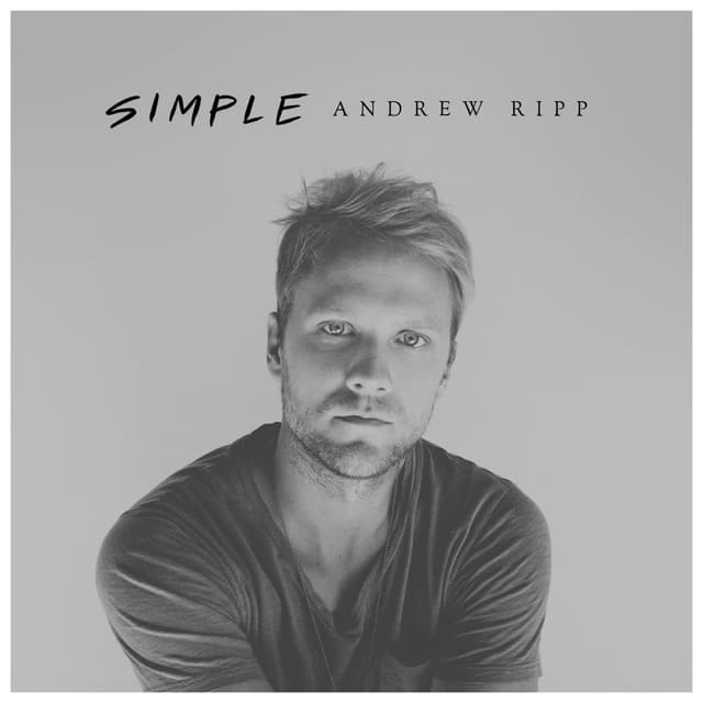 Album cover art for Simple