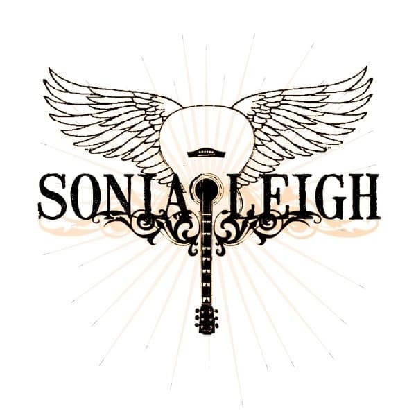 Album cover art for Run or Surrender