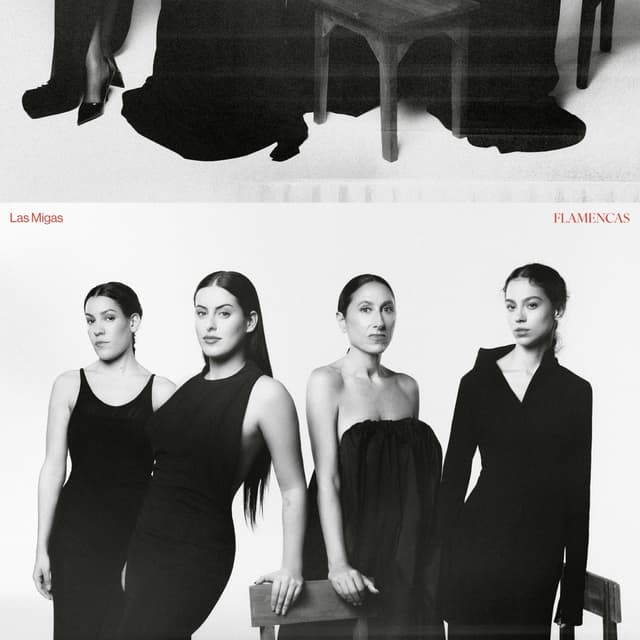 Album cover art for Flamencas