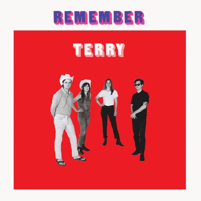 Album cover art for Remember Terry