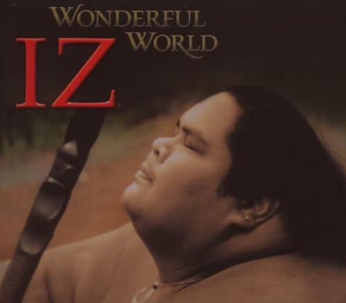 Album cover art for Wonderful World