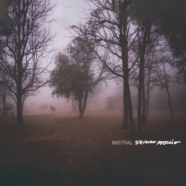 Album cover art for Mistral - Single