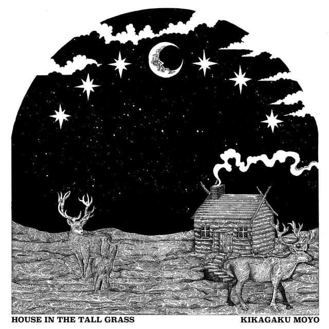 Album cover art for House in the Tall Grass
