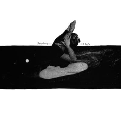 Album cover art for Introducing...