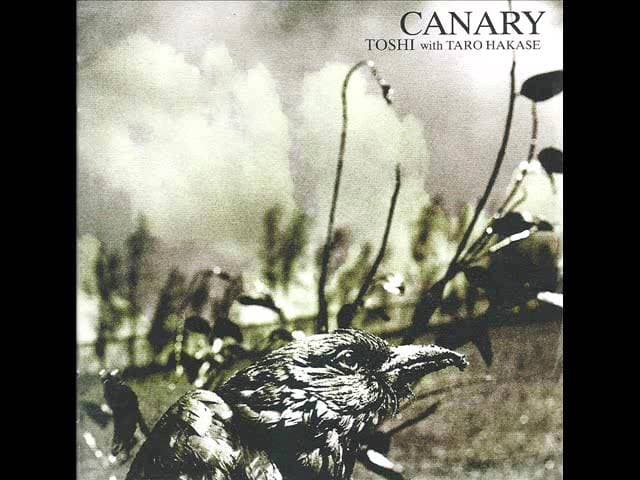 Album cover art for Canary