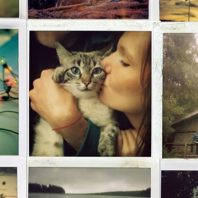 Album cover art for My Friends All Died in a Plane Crash