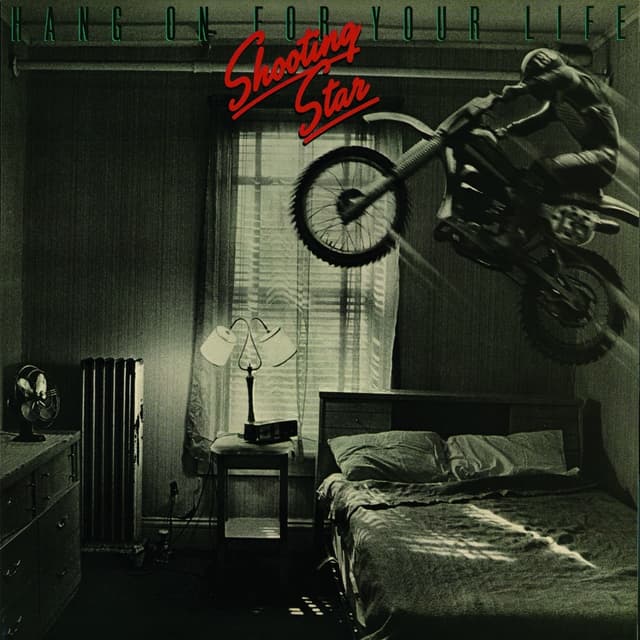 Album cover art for Hang On For Your Life