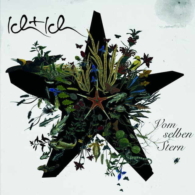 Album cover art for Vom Selben Stern