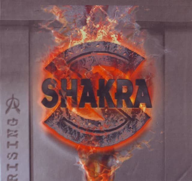 Album cover art for Rising