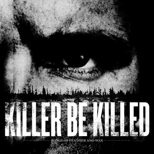 Album cover art for Wings Of Feather And Wax