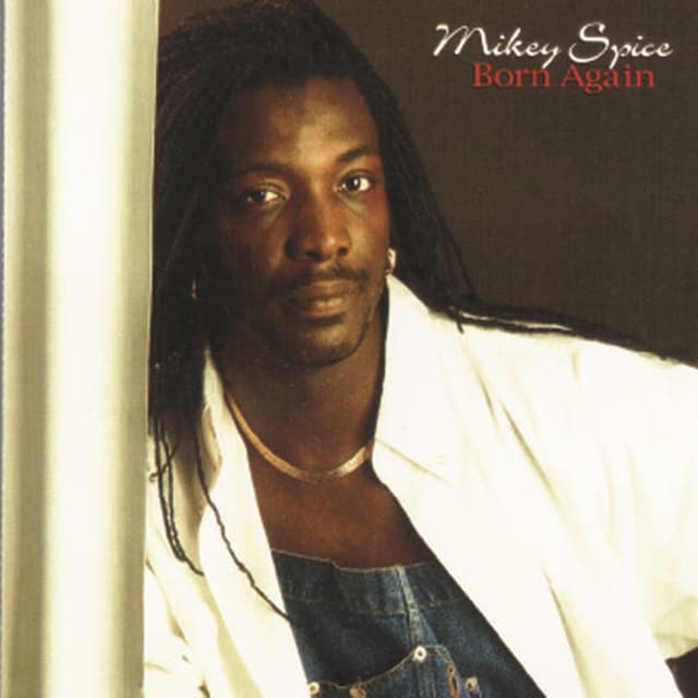 Album cover art for Born Again