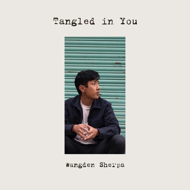 Album cover art for Tangled in You