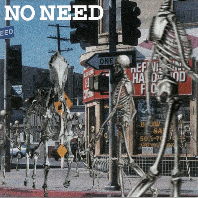 Album cover art for NO NEED