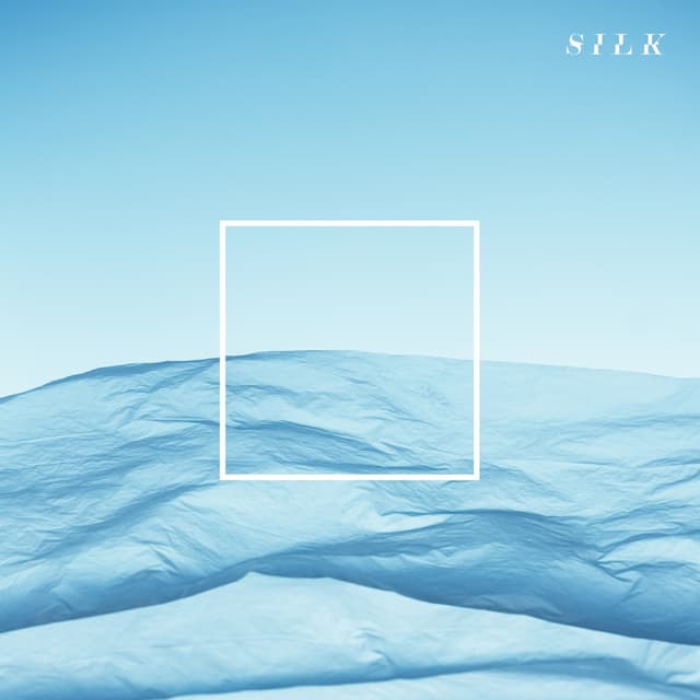 Album cover art for Silk
