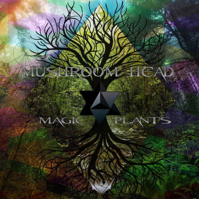 Album cover art for Magic Plants