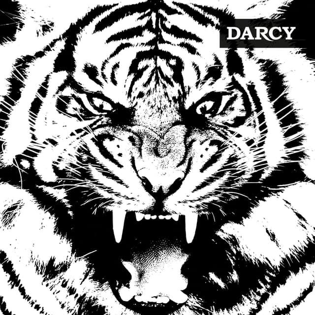 Album cover art for Tigre