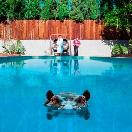 Album cover art for Hippopotamus