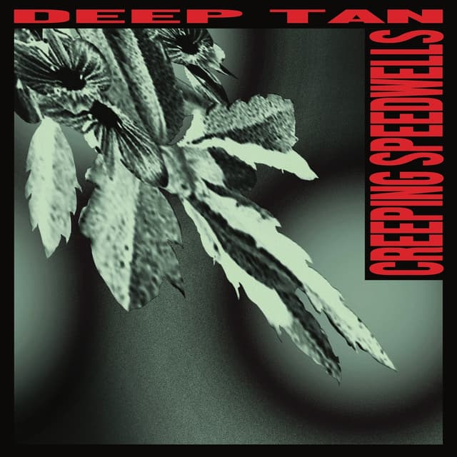 Album cover art for Creeping speedwells