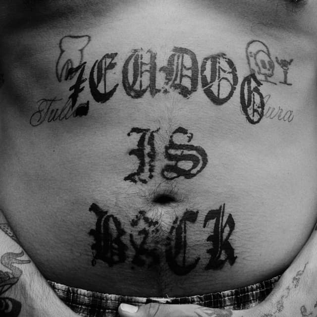 Album cover art for ZEUDOG IS BACK #3 (Heat)