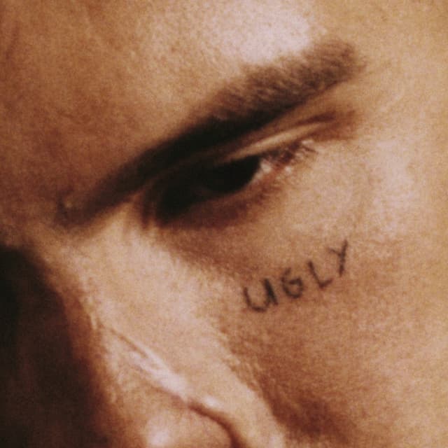 Album cover art for UGLY