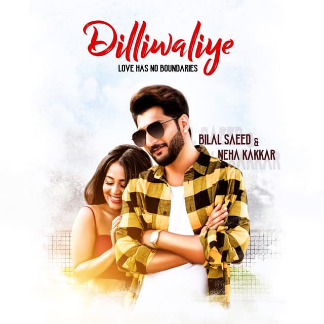 Album cover art for Dilliwaliye