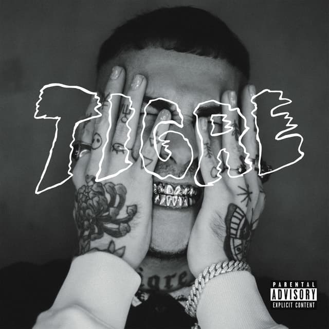 Album cover art for Tigre
