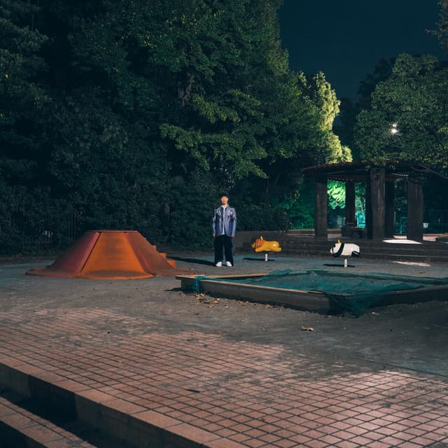 Album cover art for PIN