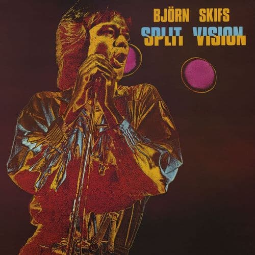 Album cover art for Split Vision