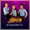 Mi Vida Eres Tú