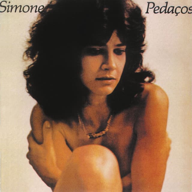 Album cover art for Pedaços